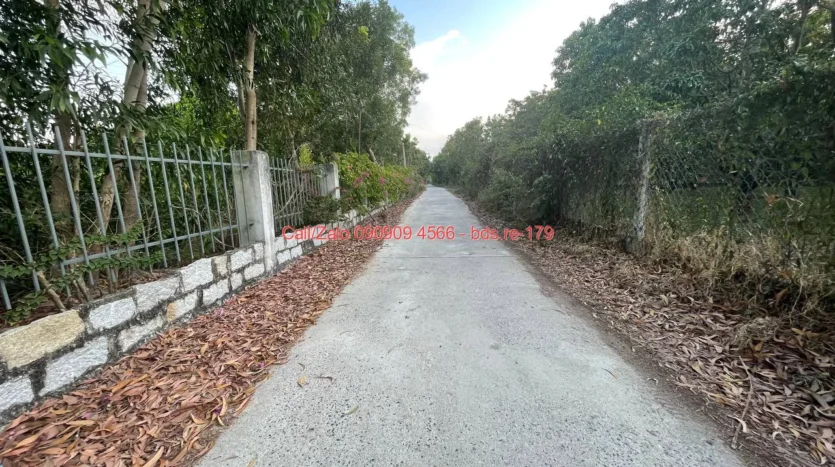 bds.re 179 thumb 1779248013 bds.re-0909094566