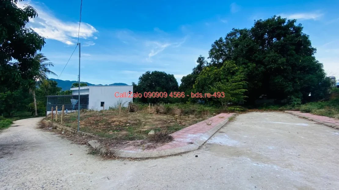 bds.re 493 thumb 1779581762 bds.re-0909094566