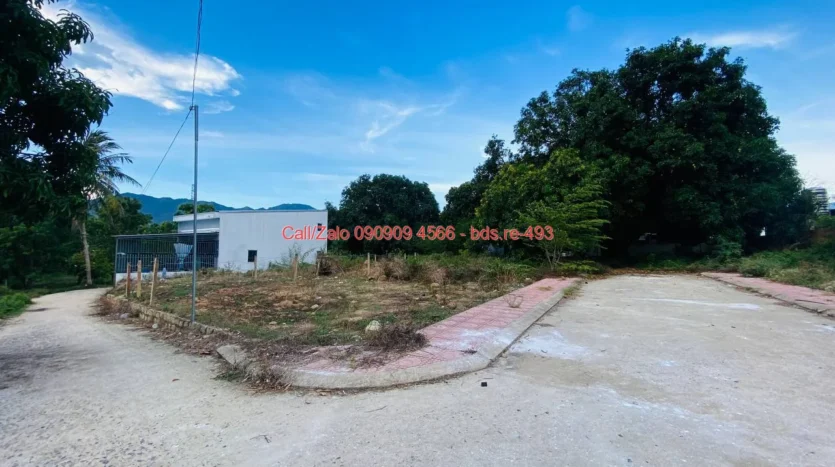 bds.re 493 thumb 1779581762 bds.re-0909094566
