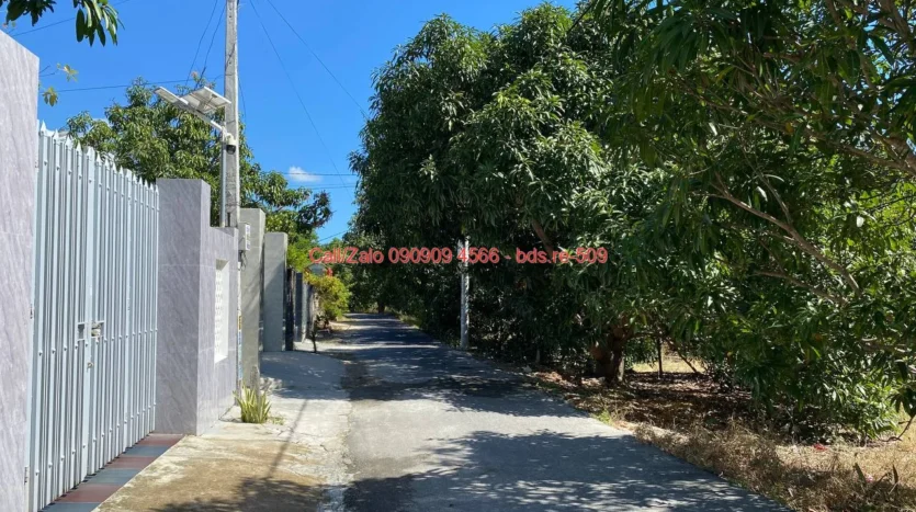 bds.re 509 thumb 1779581839 bds.re-0909094566