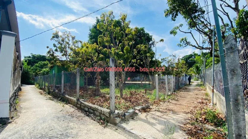 bds.re 503 thumb 1779581808 bds.re-0909094566
