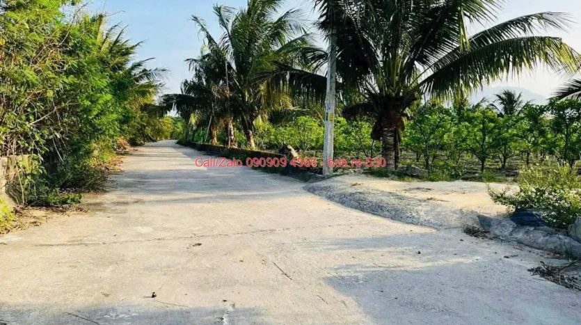 bds.re 530 thumb 1779581958 bds.re-0909094566