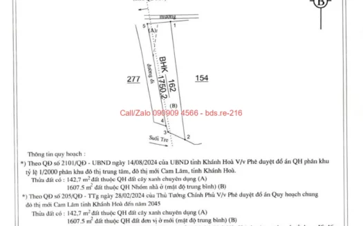 bds.re 216 thumb 1779246656 bds.re-0909094566