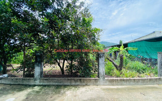 photo 122@07 09 2025 10 06 47 bds.re-0909094566