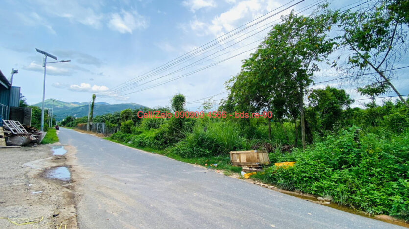 photo 268@18 09 2025 12 02 05 bds.re-0909094566