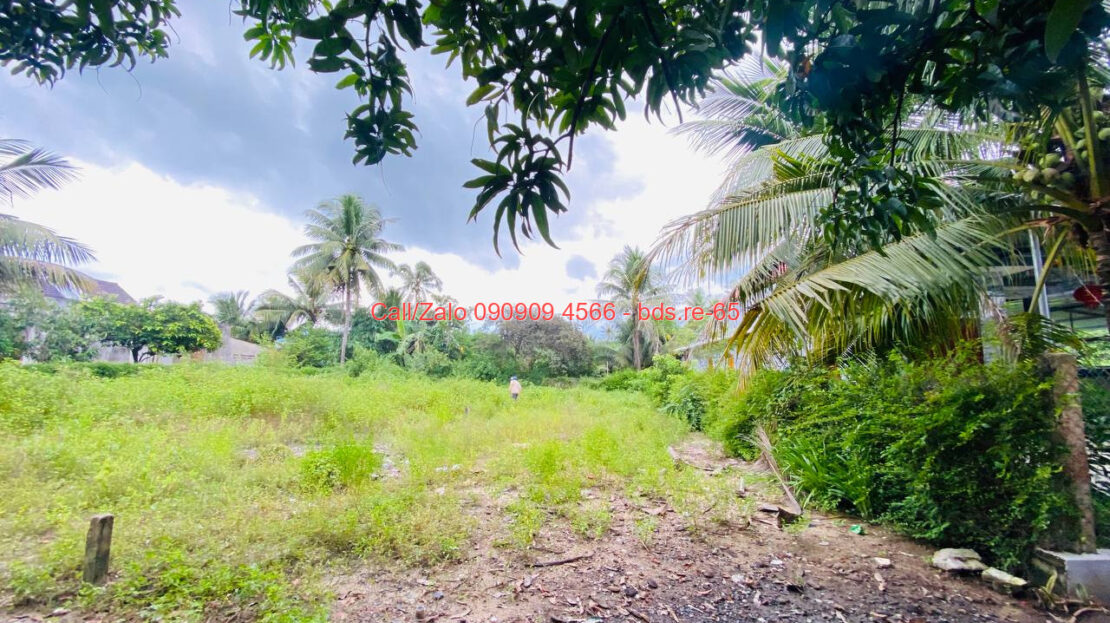 photo 459@27 09 2025 08 49 58 bds.re-0909094566