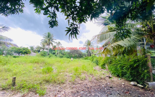 photo 459@27 09 2025 08 49 58 bds.re-0909094566