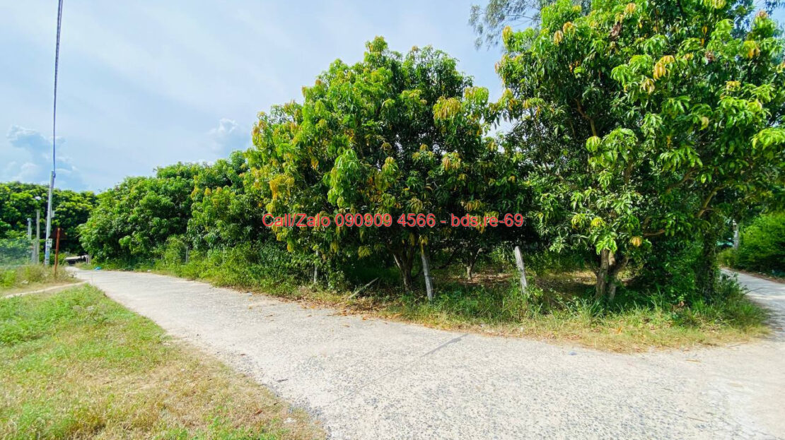 photo 9@05 09 2025 10 28 21 bds.re-0909094566