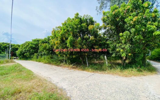 photo 9@05 09 2025 10 28 21 bds.re-0909094566