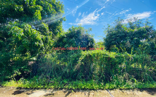 photo 333@21 09 2025 14 36 05 bds.re-0909094566