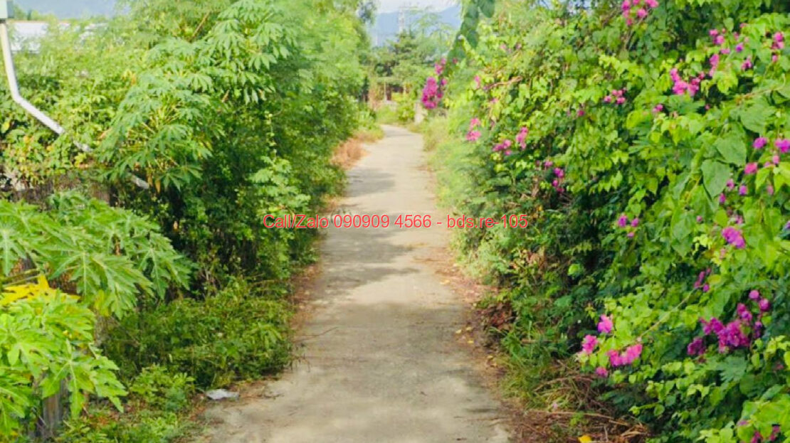 photo 528@07 10 2025 11 29 08 bds.re-0909094566
