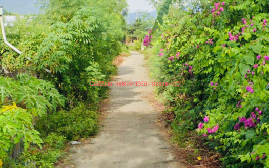 photo 528@07 10 2025 11 29 08 bds.re-0909094566