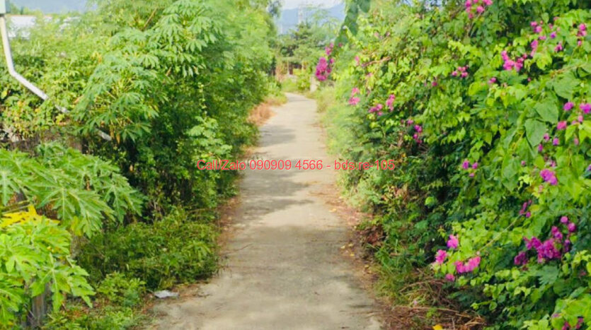 photo 528@07 10 2025 11 29 08 bds.re-0909094566