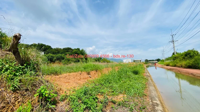 bds.re 130 thumb 1779581035 bds.re-0909094566