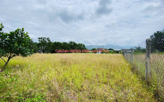 photo 807@02 11 2025 20 42 17 bds.re-0909094566