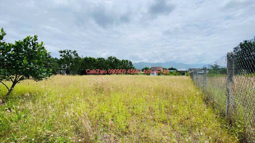 photo 807@02 11 2025 20 42 17 bds.re-0909094566