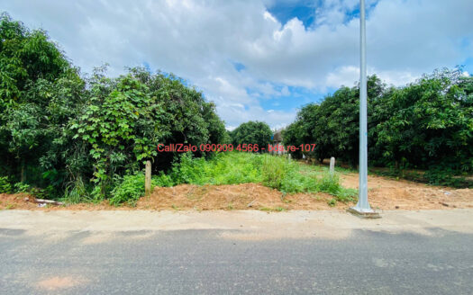 photo 812@03 11 2025 10 15 56 bds.re-0909094566