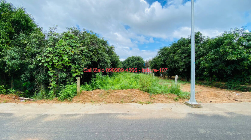 photo 812@03 11 2025 10 15 56 bds.re-0909094566