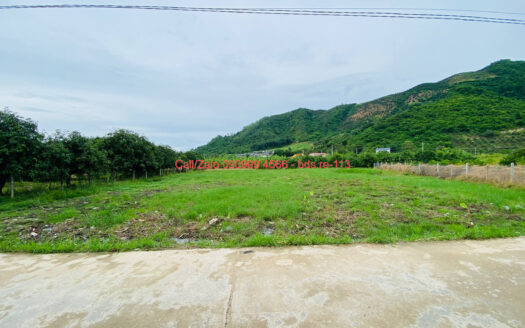 photo 865@08 11 2025 11 54 30 bds.re-0909094566