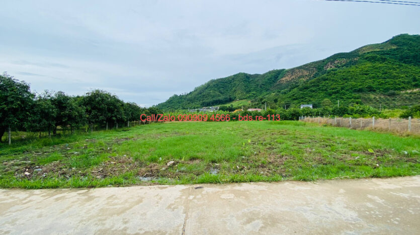 photo 865@08 11 2025 11 54 30 bds.re-0909094566