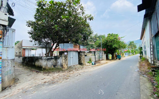 photo 1002@06 12 2025 13 43 41 bds.re-0909094566