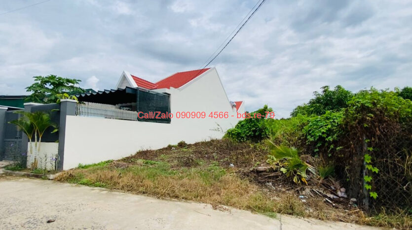photo 147@08 09 2025 18 33 58 bds.re-0909094566