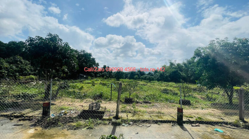 photo 949@05 12 2025 14 40 02 bds.re-0909094566