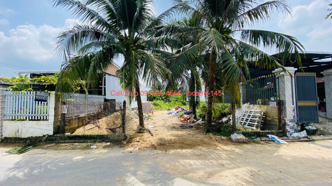 photo 990@06 12 2025 13 34 29 bds.re-0909094566