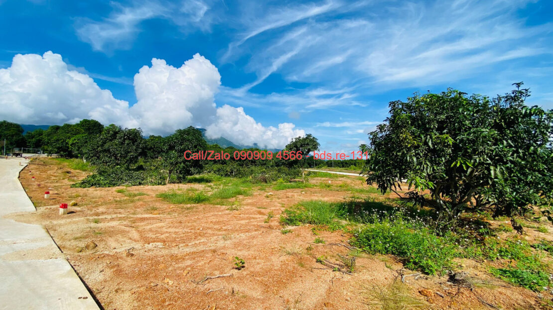 photo 1290@19 01 2026 09 39 04 bds.re-0909094566