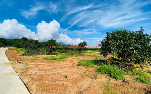 photo 1290@19 01 2026 09 39 04 bds.re-0909094566
