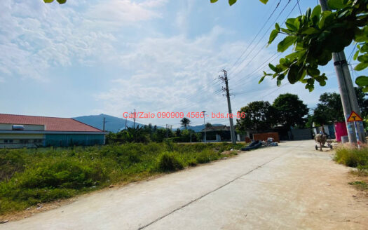 photo 1331@20 01 2026 21 56 34 bds.re-0909094566