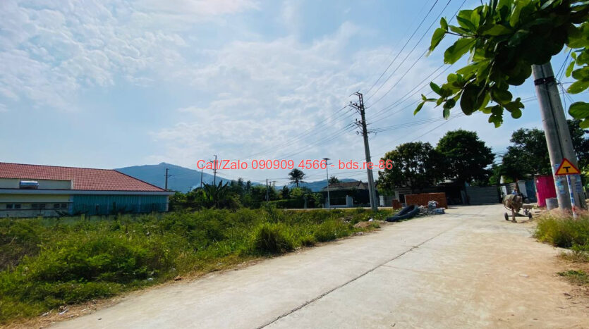 photo 1331@20 01 2026 21 56 34 bds.re-0909094566