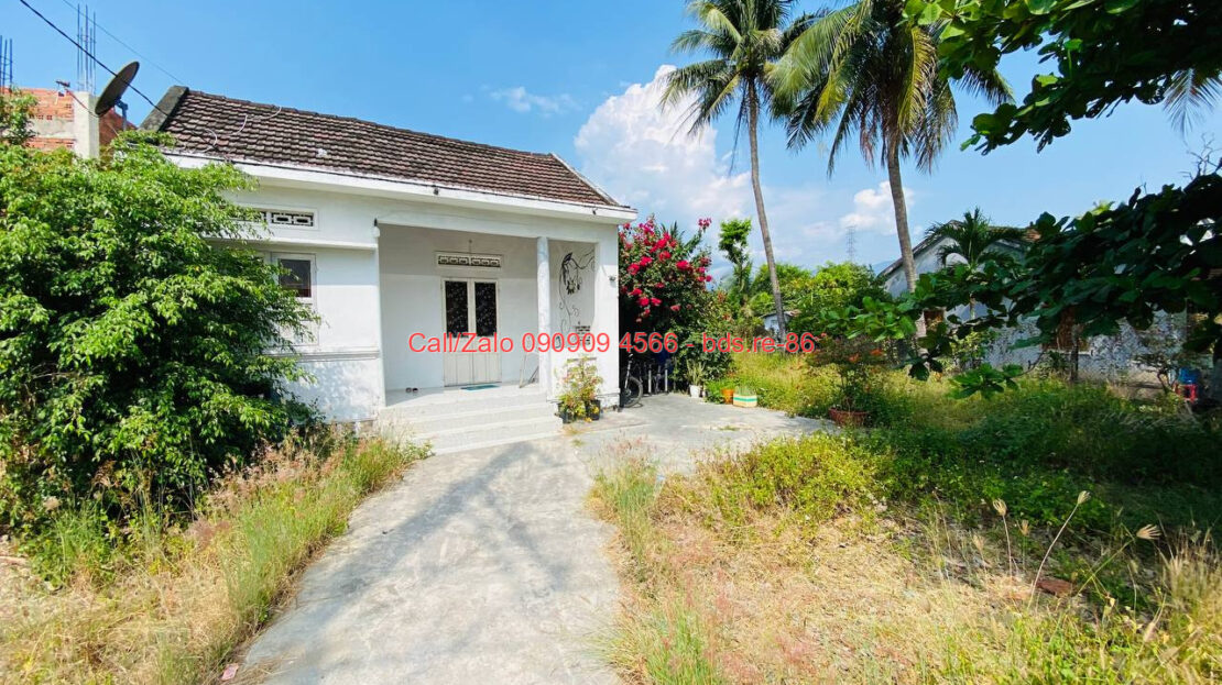 photo 1334@20 01 2026 21 56 34 bds.re-0909094566