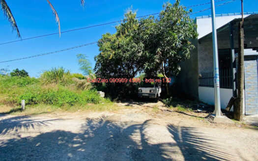 photo 1387@27 01 2026 11 42 41 bds.re-0909094566