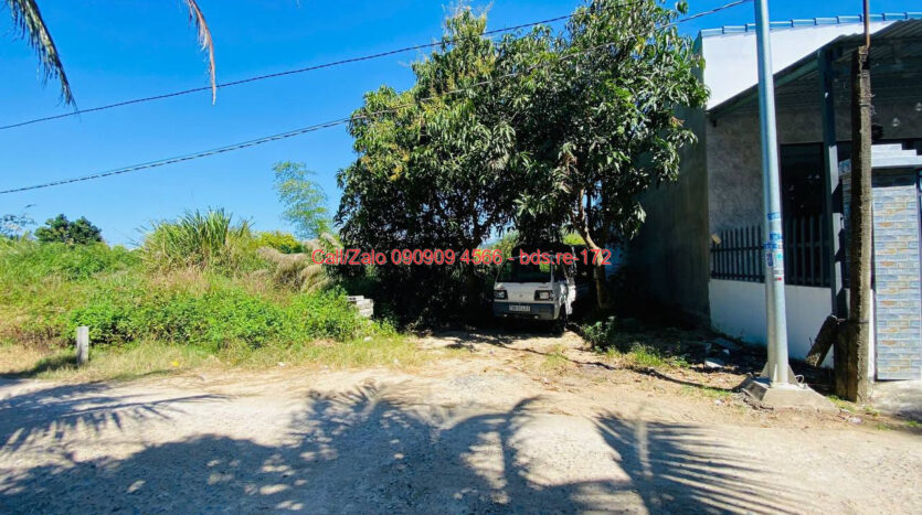 photo 1387@27 01 2026 11 42 41 bds.re-0909094566