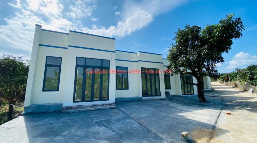 bds.re 168 thumb 1779581143 bds.re-0909094566