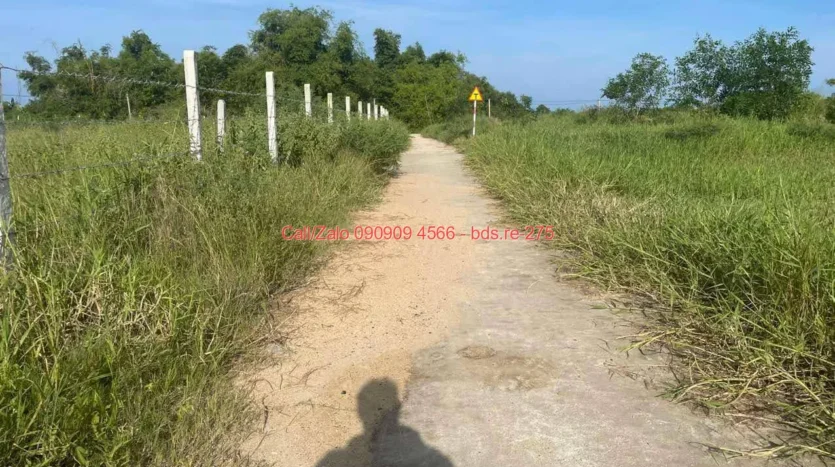 bds.re 275 thumb 1779246690 bds.re-0909094566