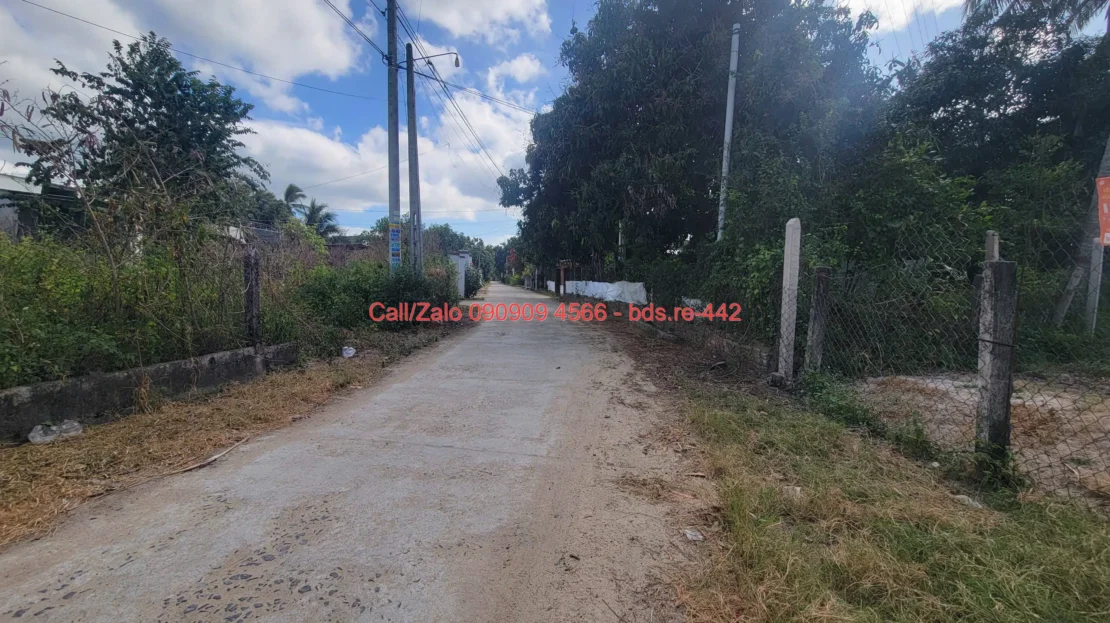 bds.re 442 thumb 1779581612 bds.re-0909094566