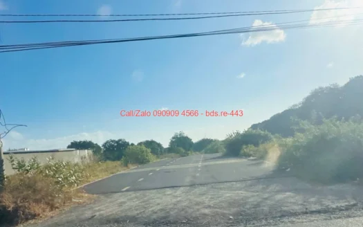 bds.re 443 thumb 1779581631 bds.re-0909094566
