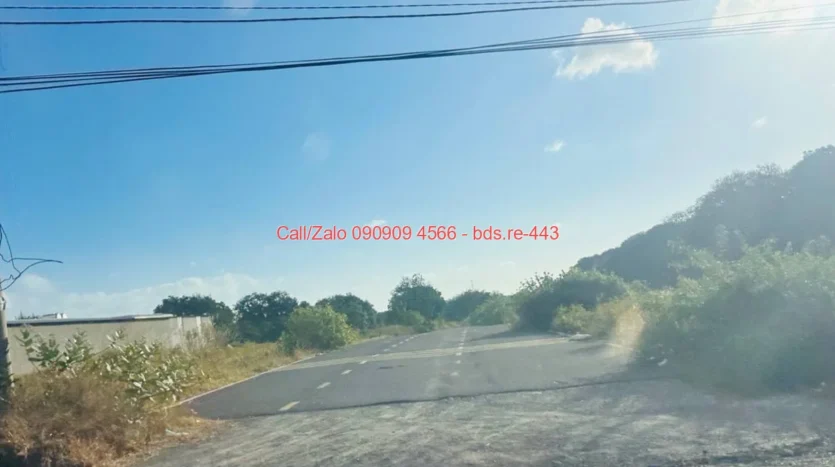 bds.re 443 thumb 1779581631 bds.re-0909094566