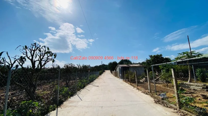 bds.re 118 thumb 1779241974 bds.re-0909094566