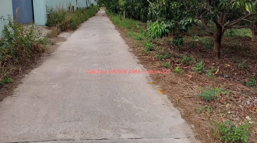 bds.re 377 thumb 1779245937 bds.re-0909094566