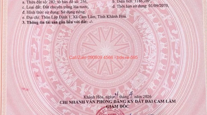 bds.re 595 thumb 1779606608 bds.re-0909094566