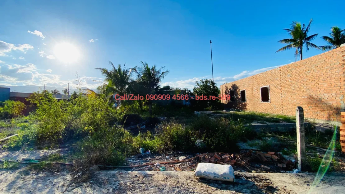 bds.re 589 thumb 1780418030 bds.re-0909094566