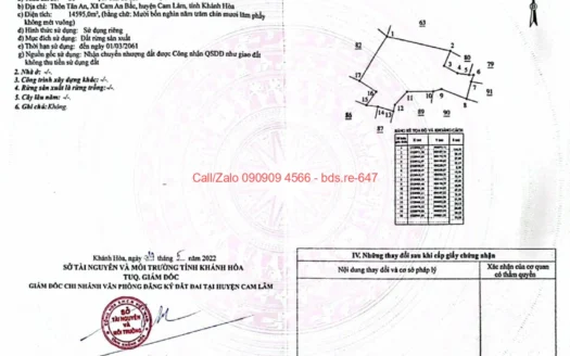 bds.re 647 thumb 1781579278 bds.re-0909094566
